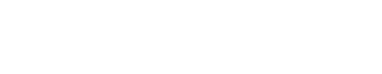 퍼스트 디센던트